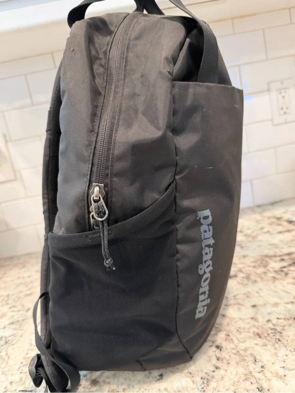 Patagonia Black Backpack with Subtle Logo